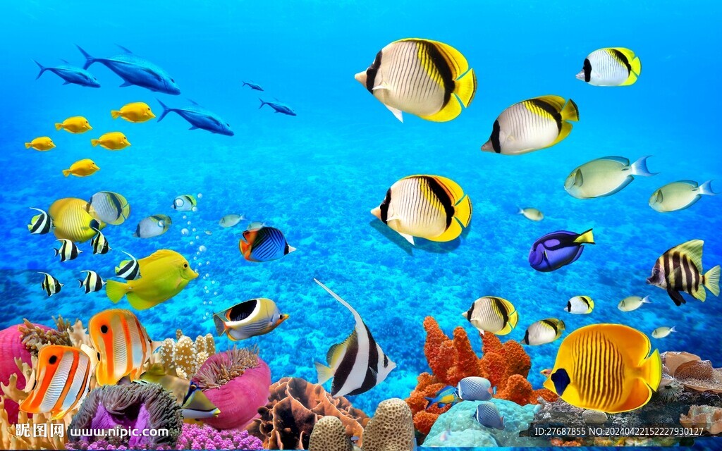 海底世界 