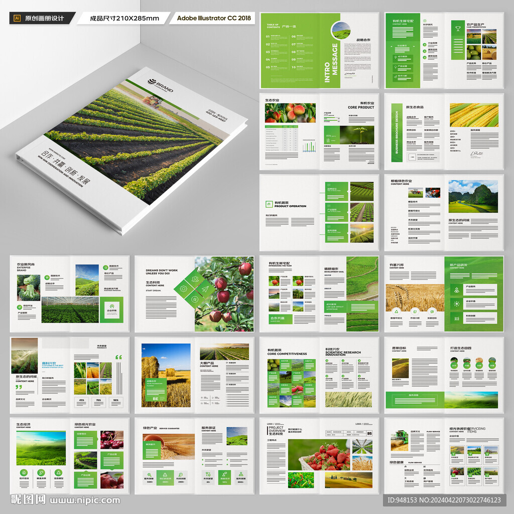 农产品宣传册