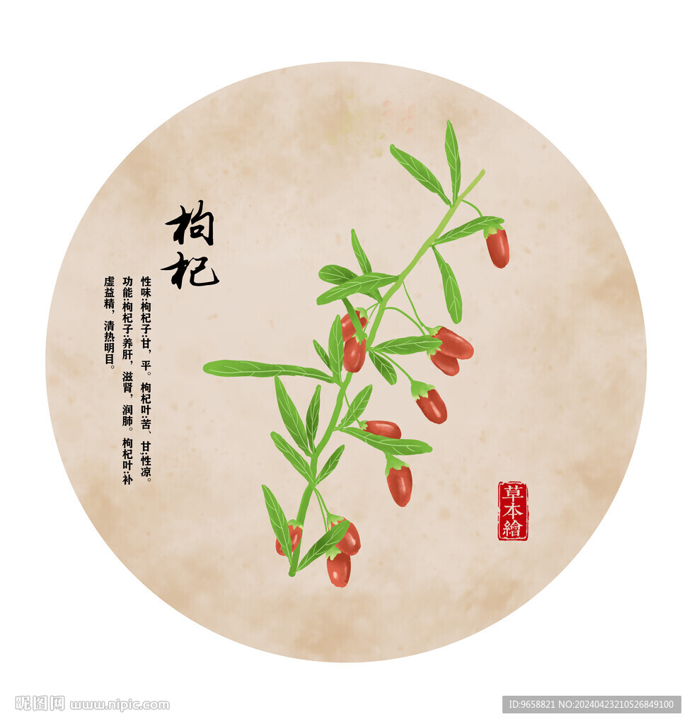枸杞