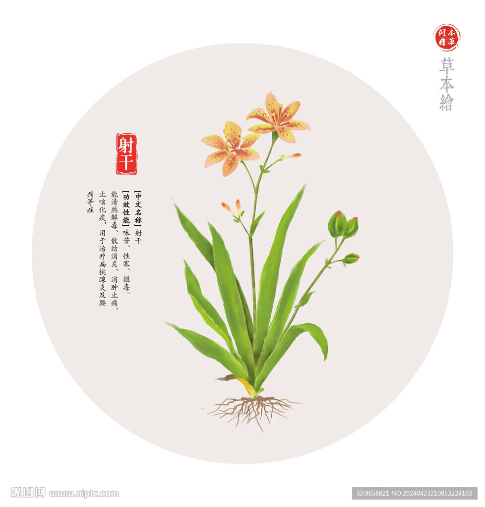 射干