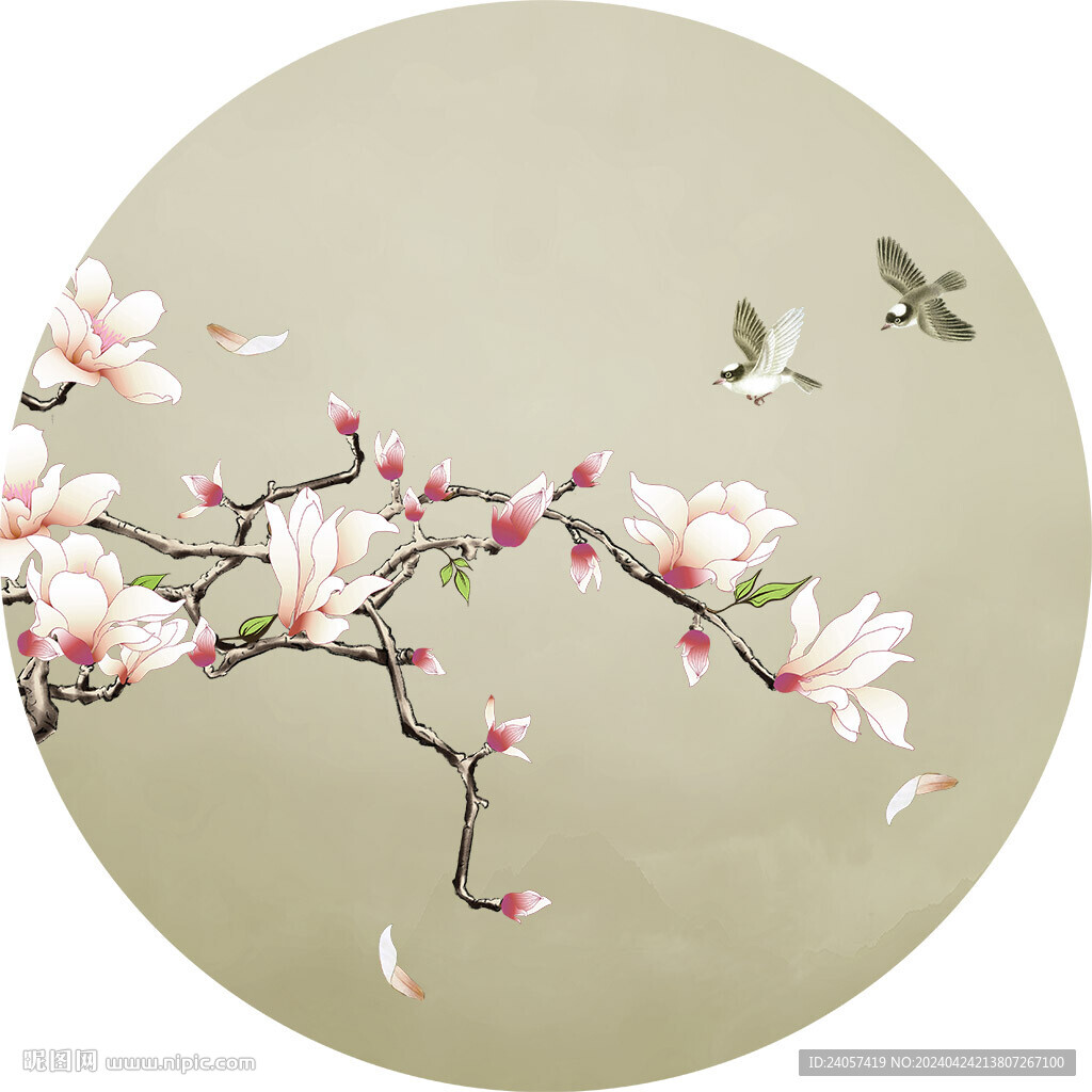 玉兰花鸟