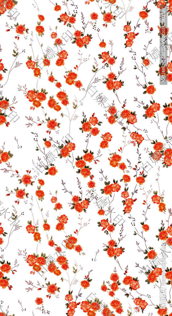 玫瑰花