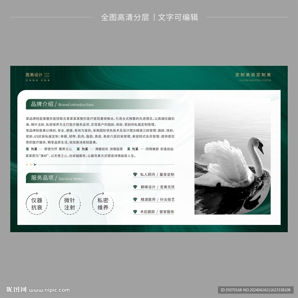 医美品牌介绍展板海报