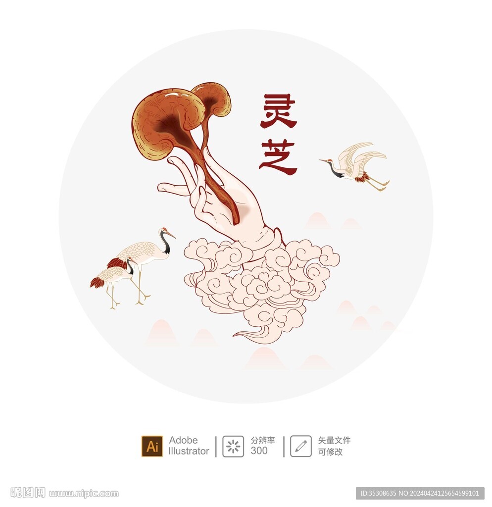 灵芝矢量 插画