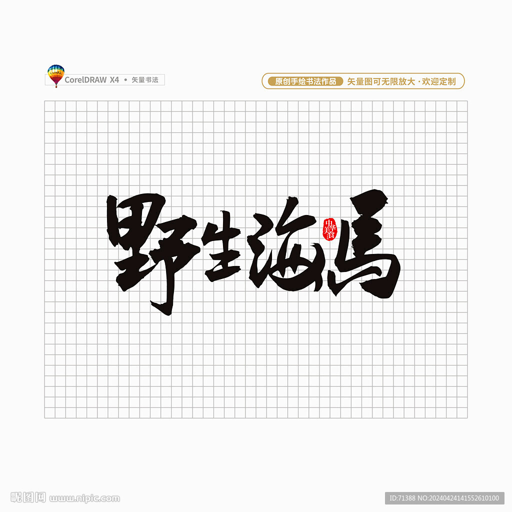 野生海马