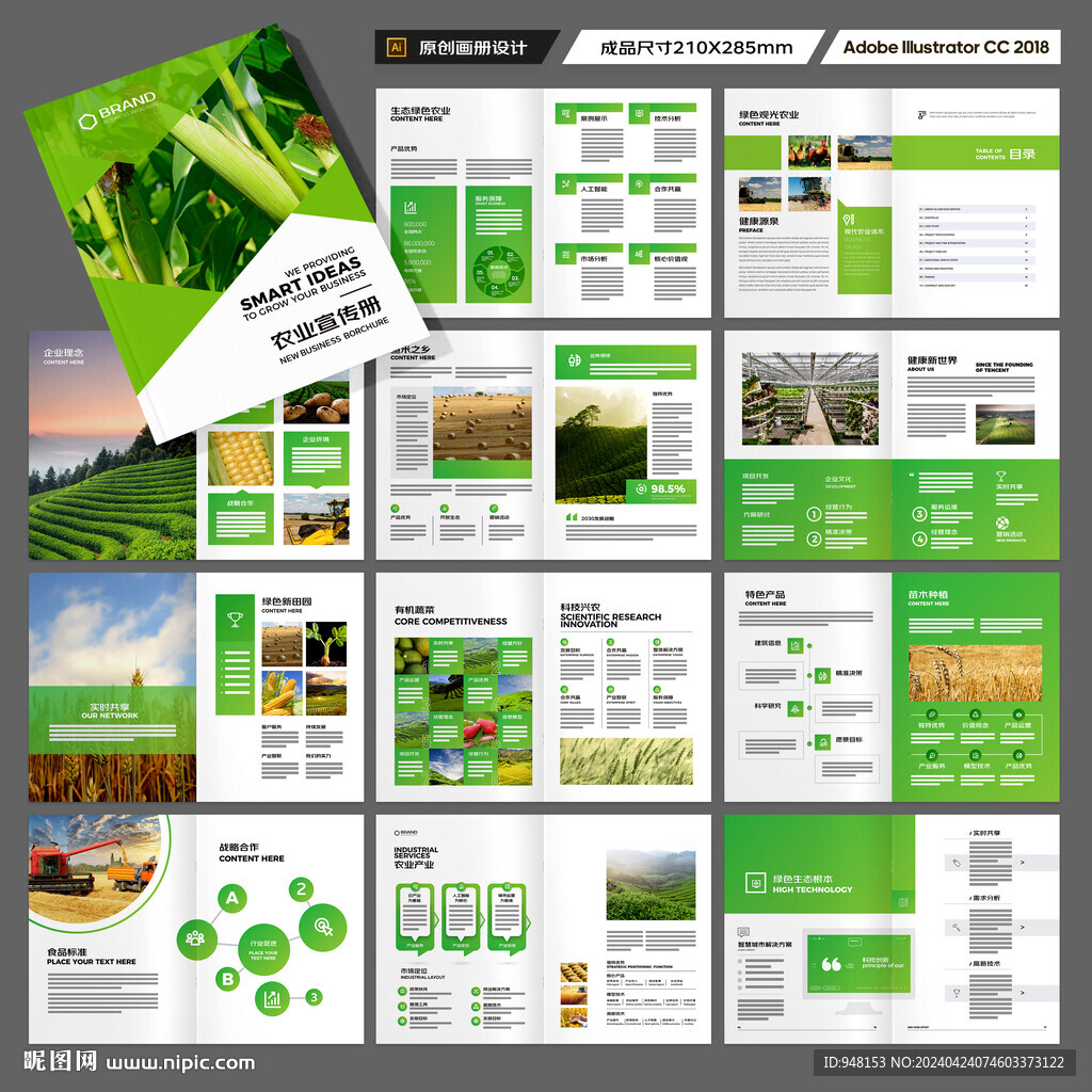 农产品宣传册
