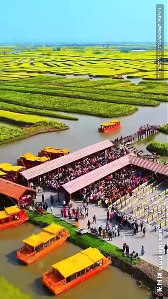 油菜花风景实拍