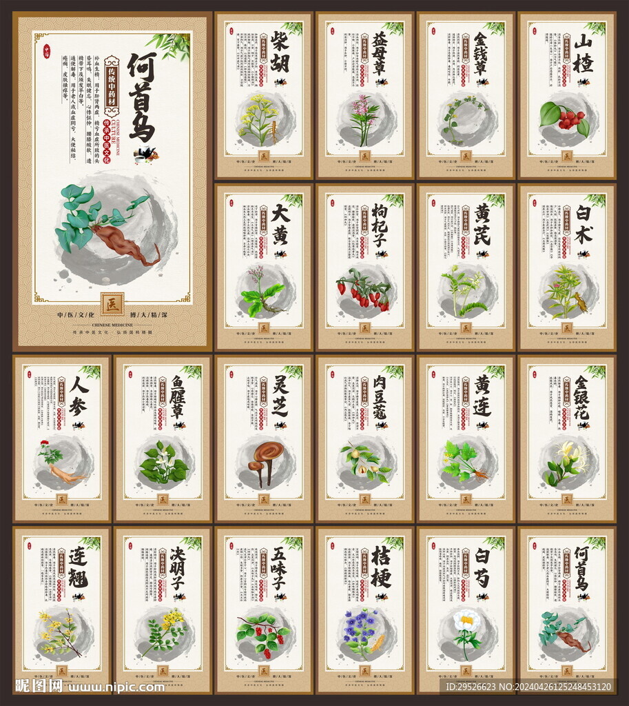 中药文化