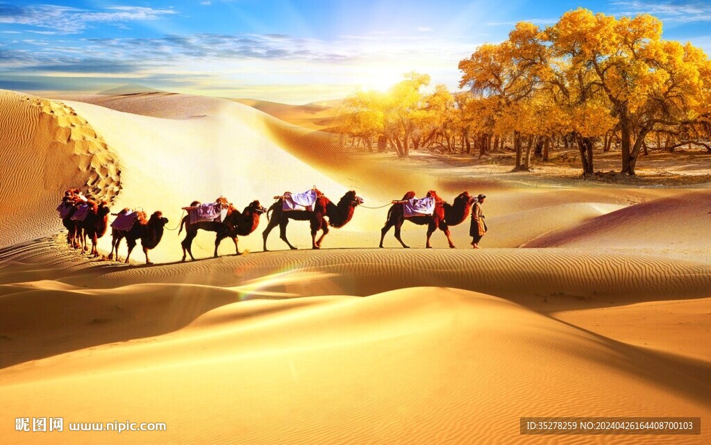 沙漠骆驼胡杨背景墙