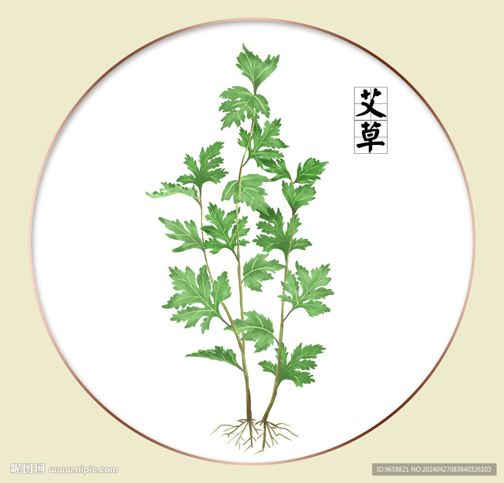 艾草