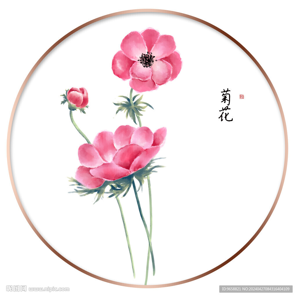 雏菊