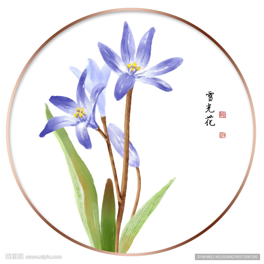 雪光花