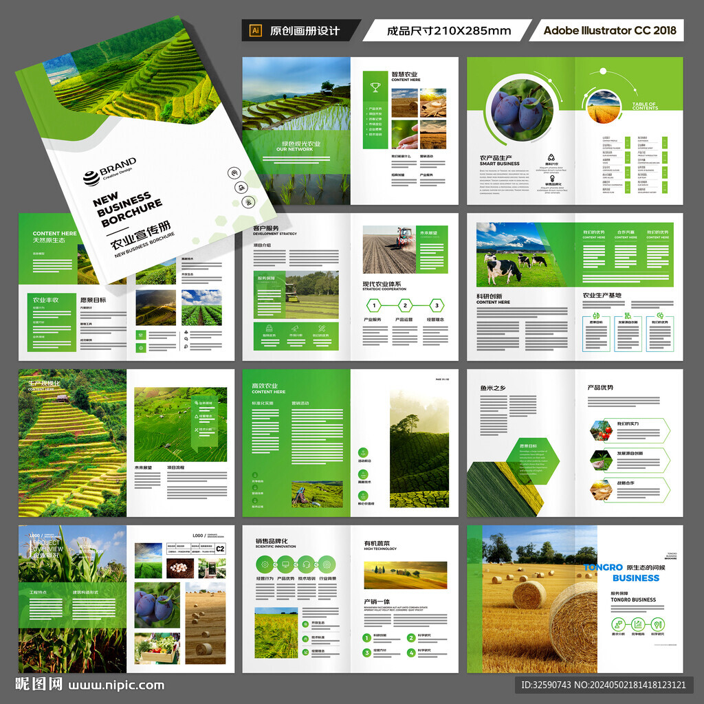 农产品宣传册