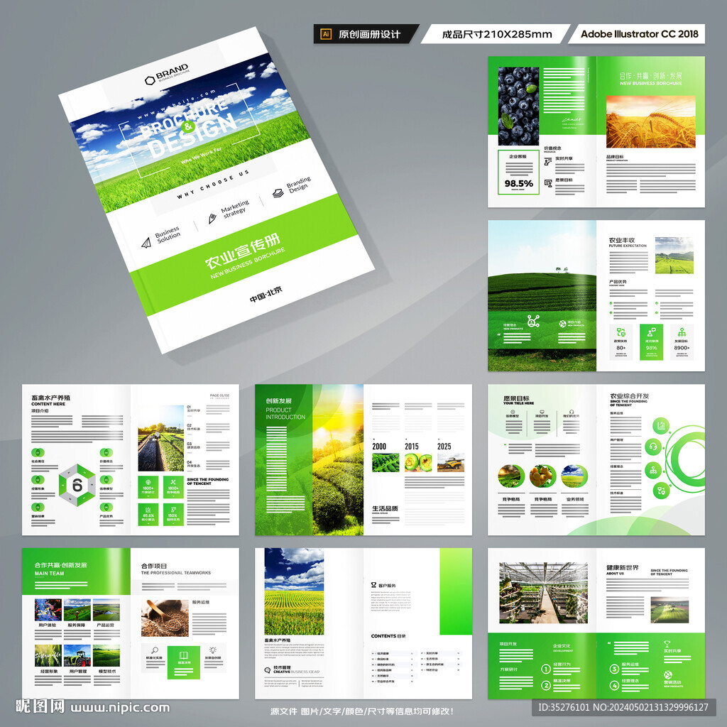农产品宣传册