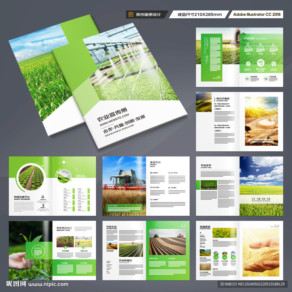 农产品宣传册