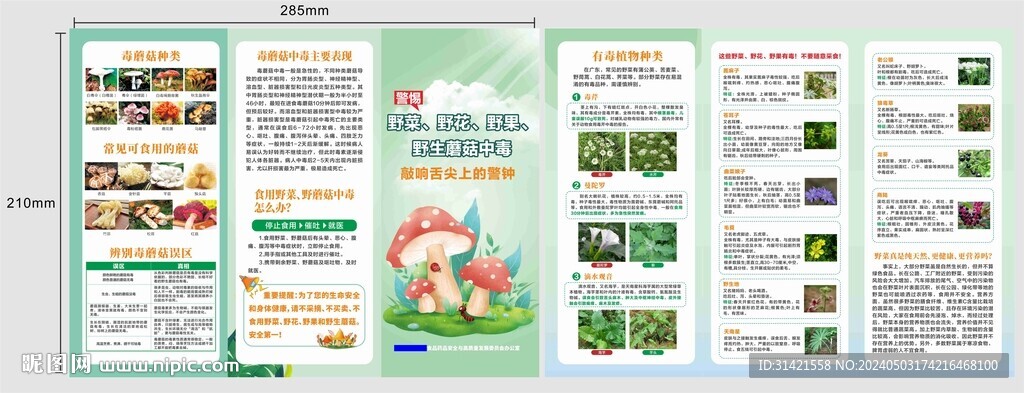食品安全折页