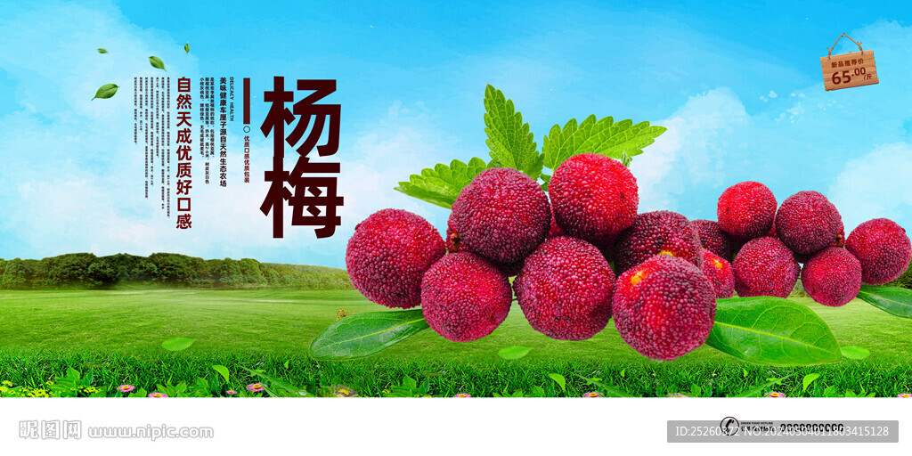 杨梅
