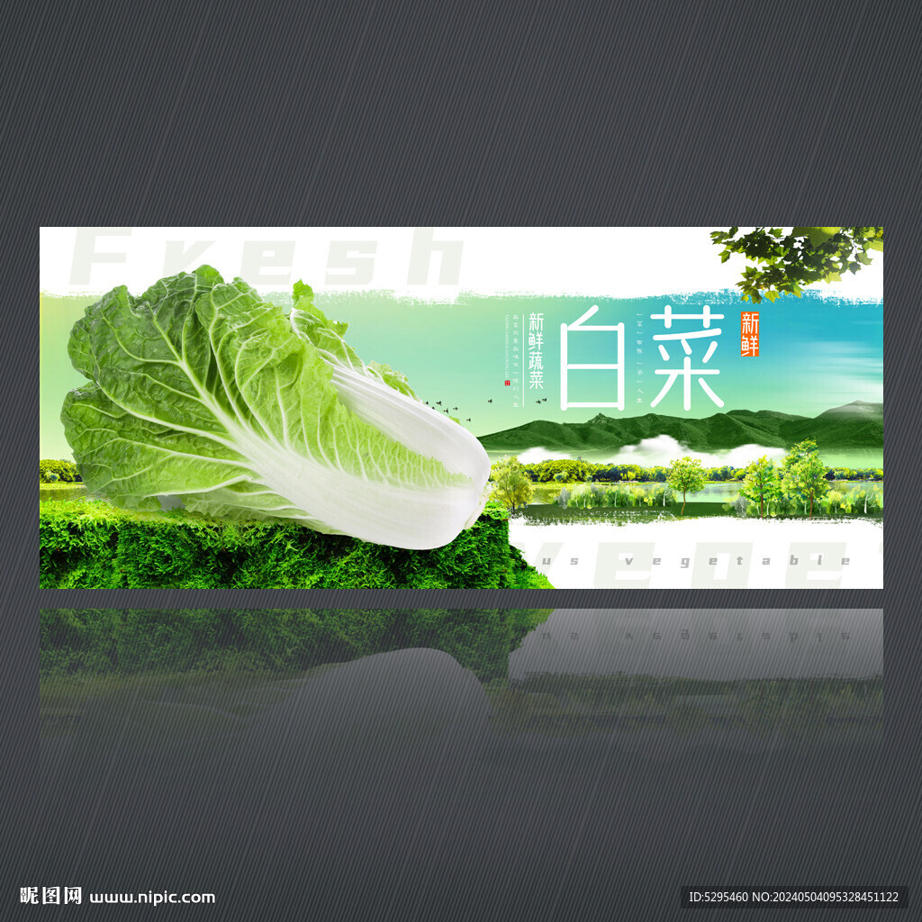 白菜