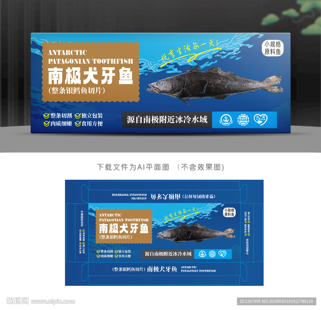 南极犬牙鱼礼盒