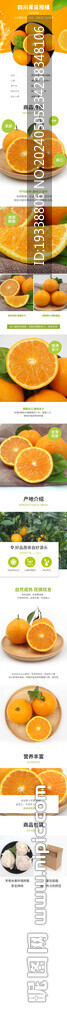 橙子柚子橘子桔子海报详情页模板