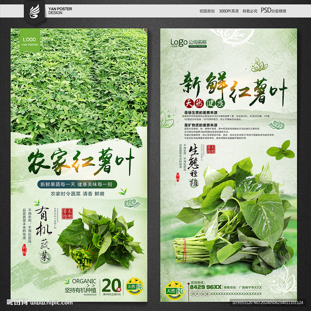 番薯叶