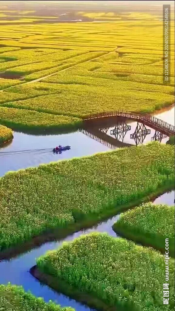 青海湖婺源油菜花海