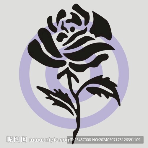 玫瑰花