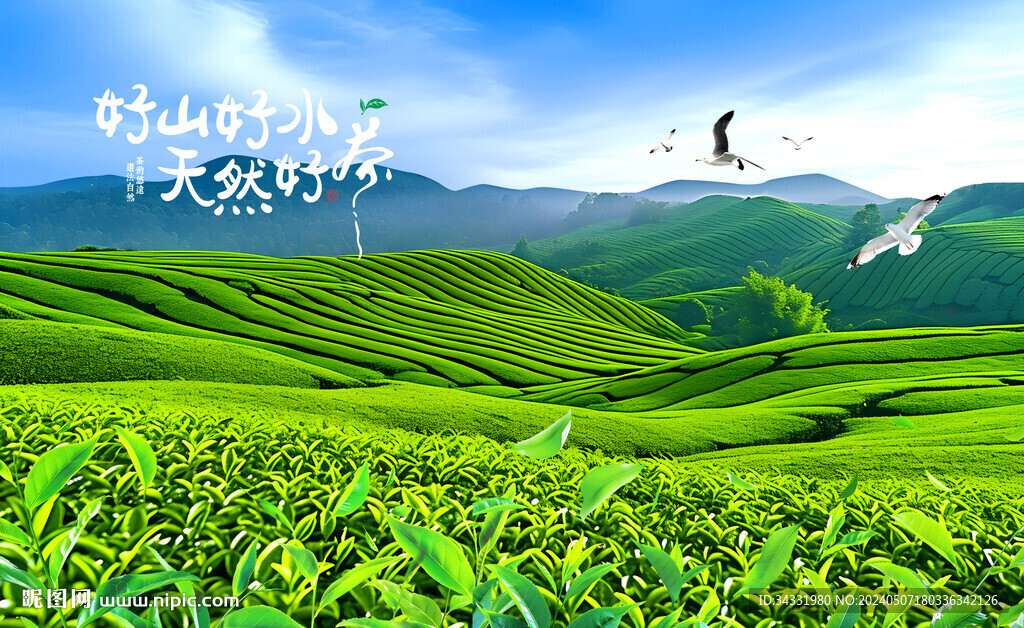 高山茶园