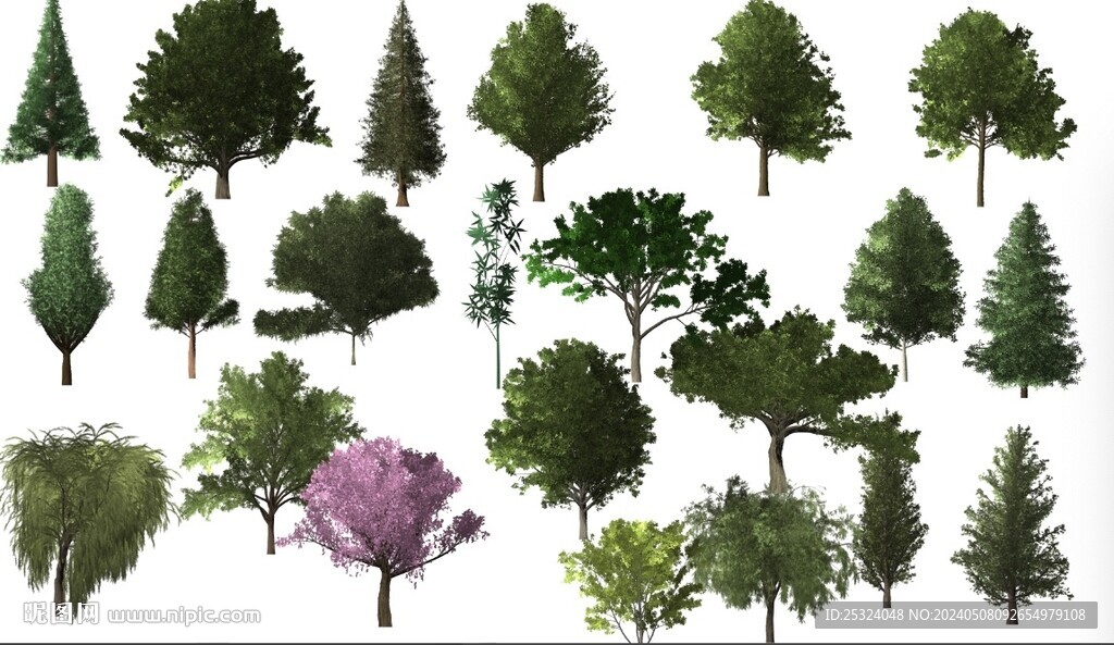 各种类型的树图