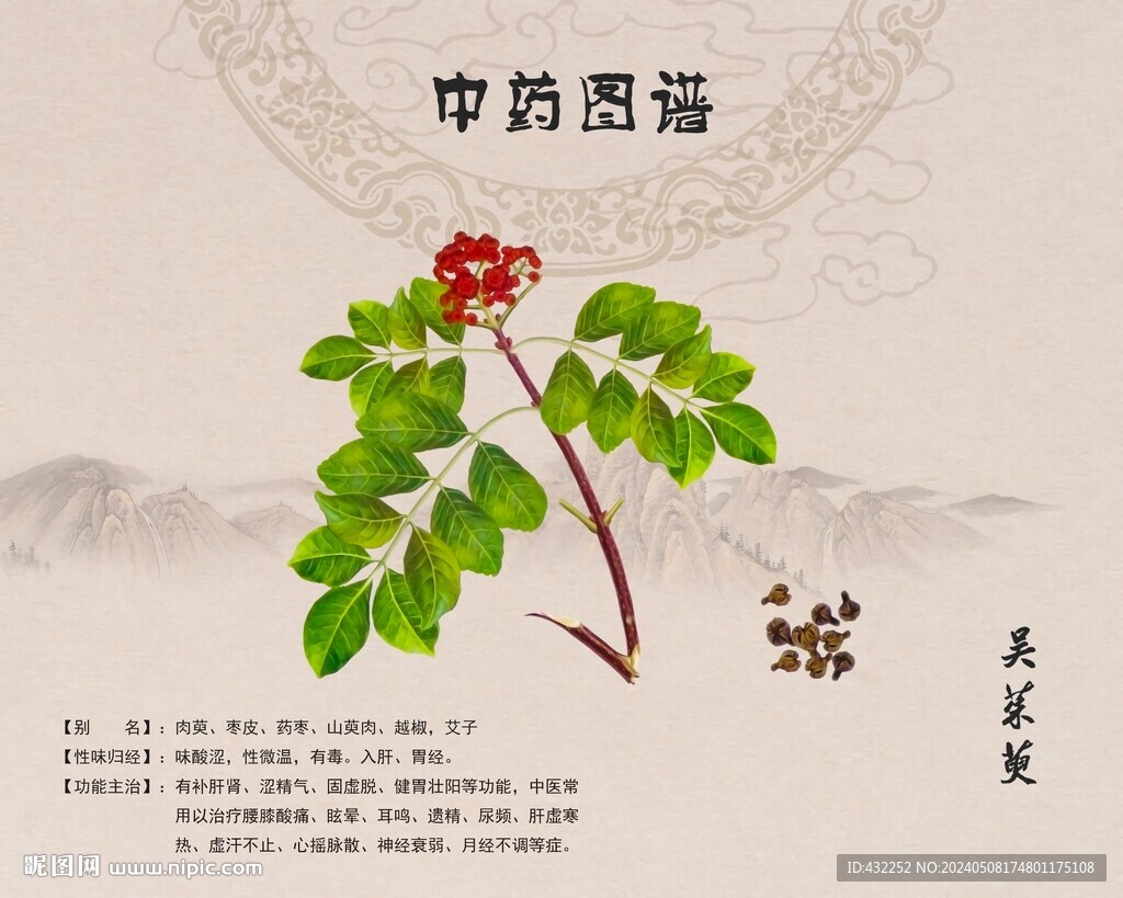 茱萸吴茱萸