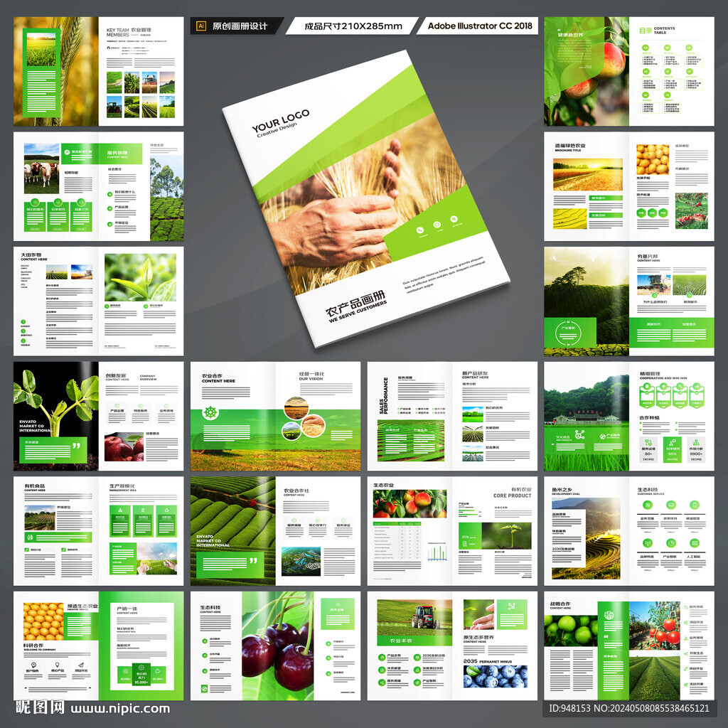 农产品画册
