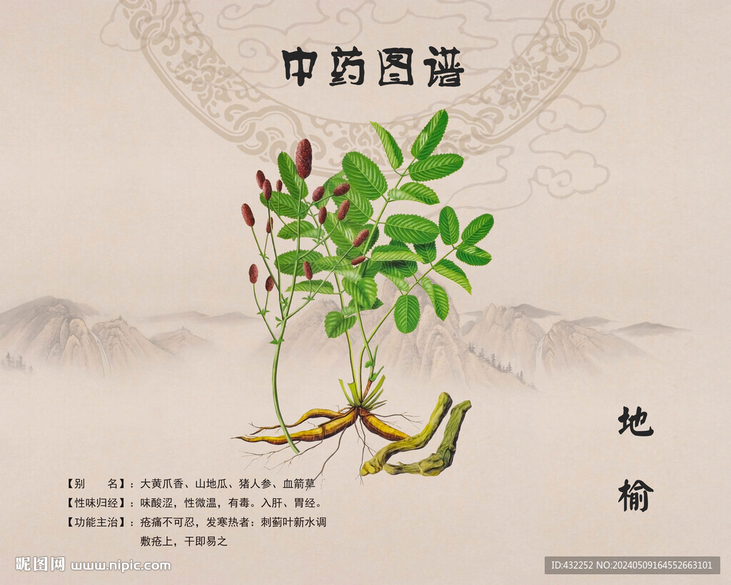 地榆