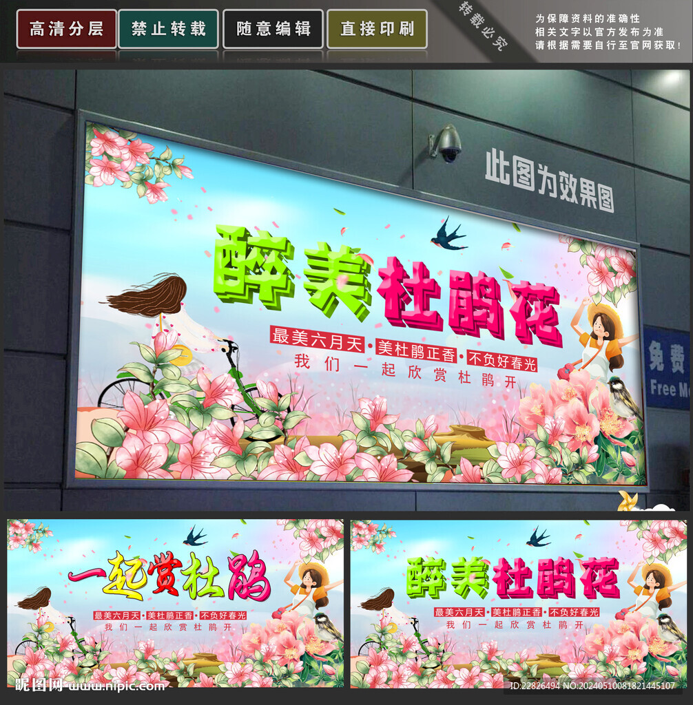 杜鹃花