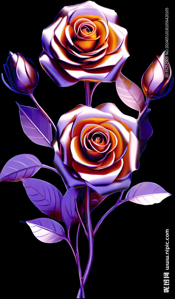玫瑰花