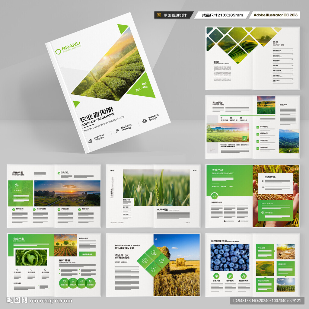 农产品宣传册