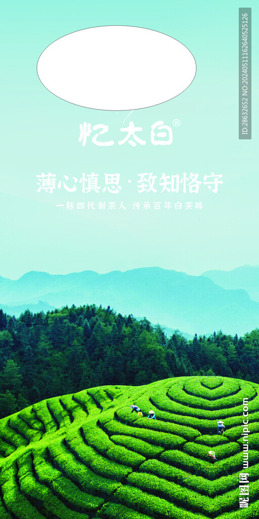 茶场背景