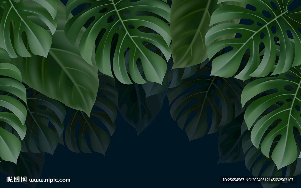 大叶子热带植物创清新背景墙