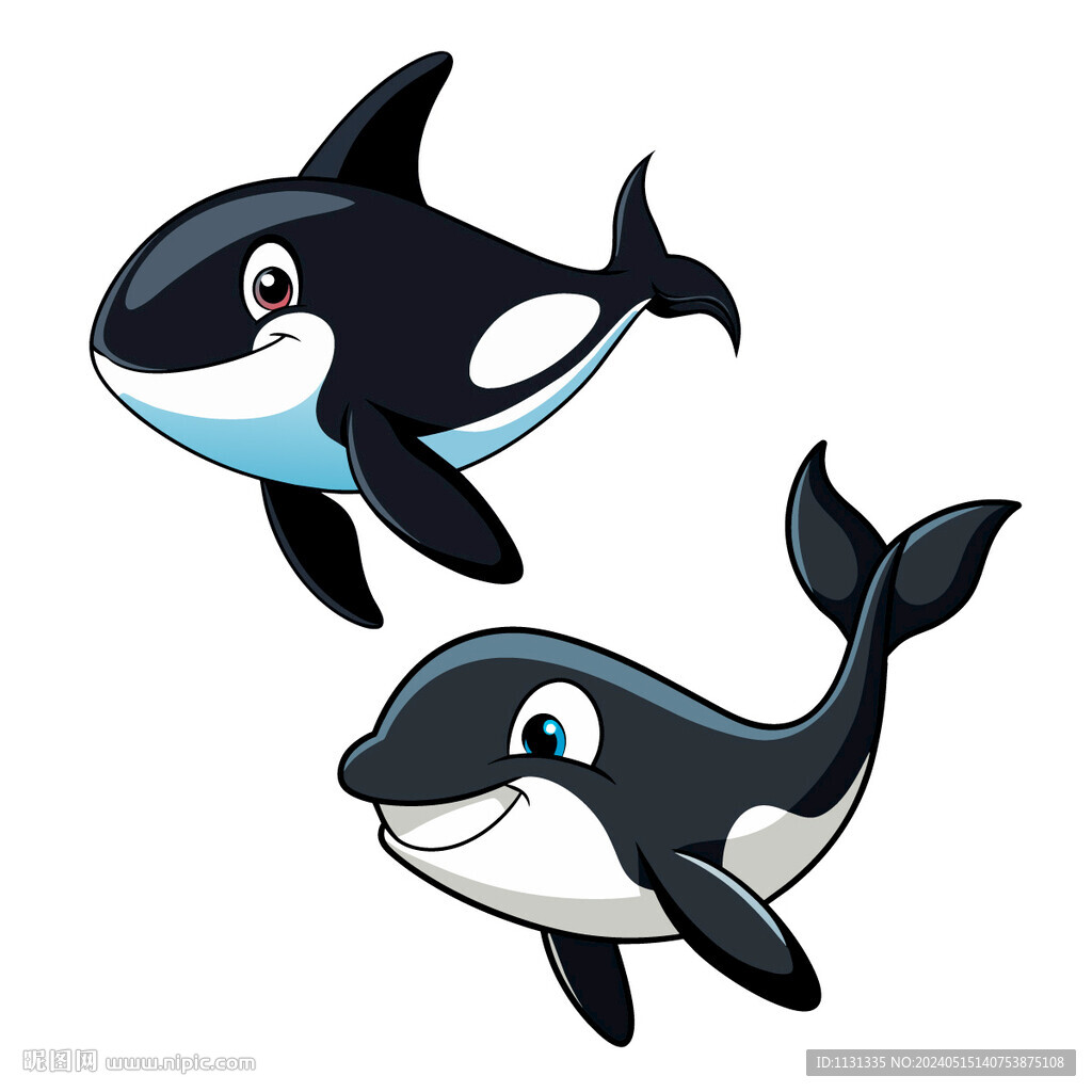 矢量动物海洋生物虎鲸