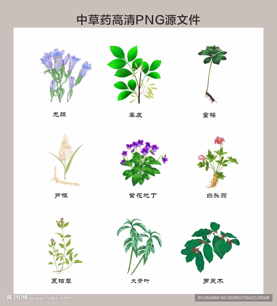 中药材高清png图片