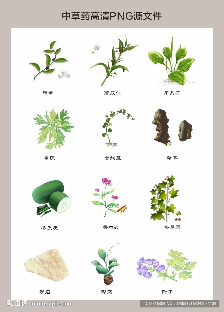 中药材高清png图片