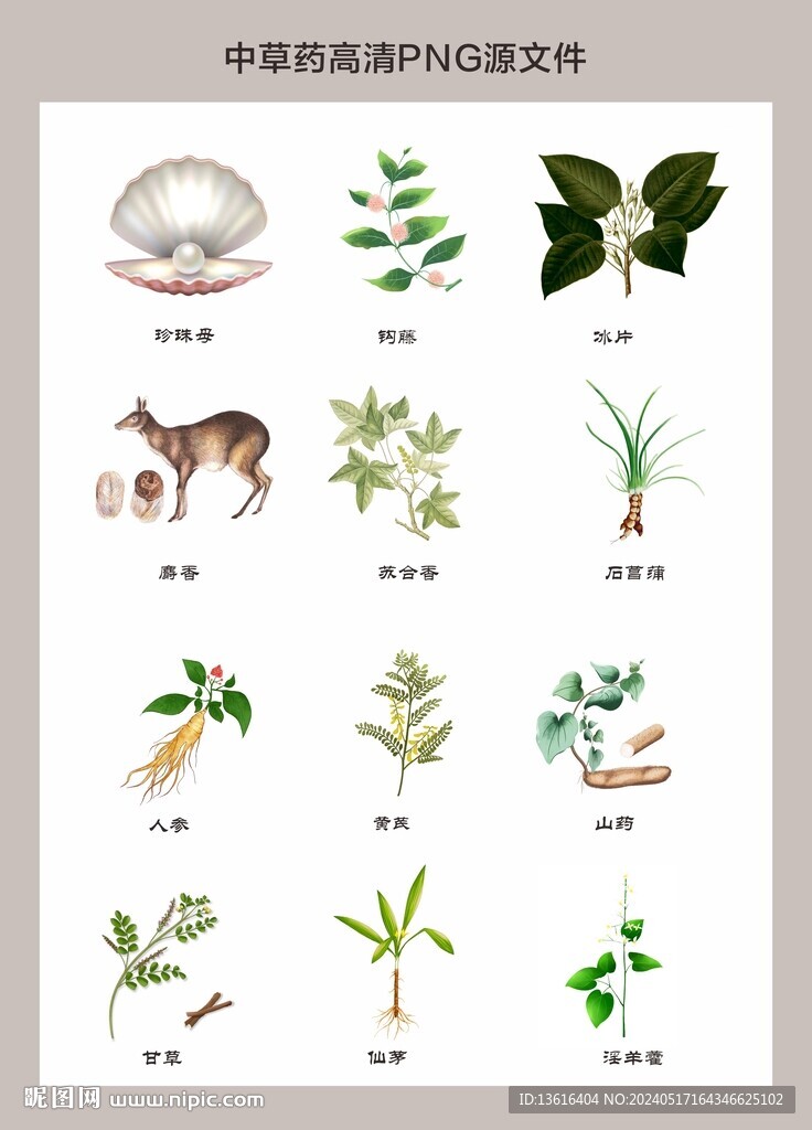 中药材高清png图片