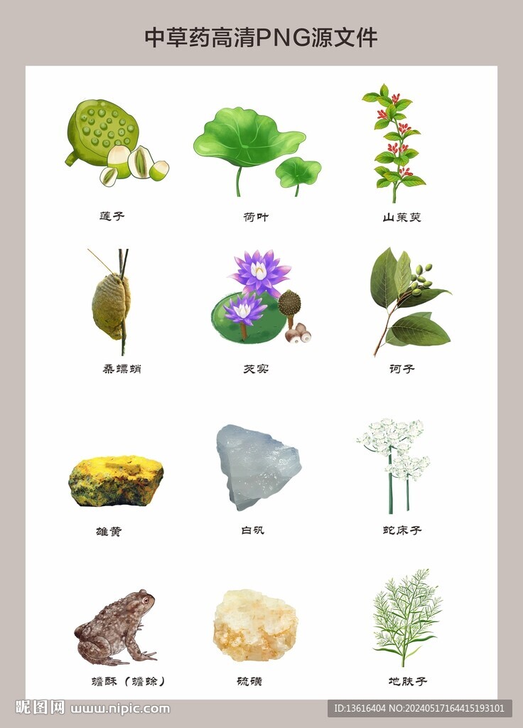 中药材高清png图片