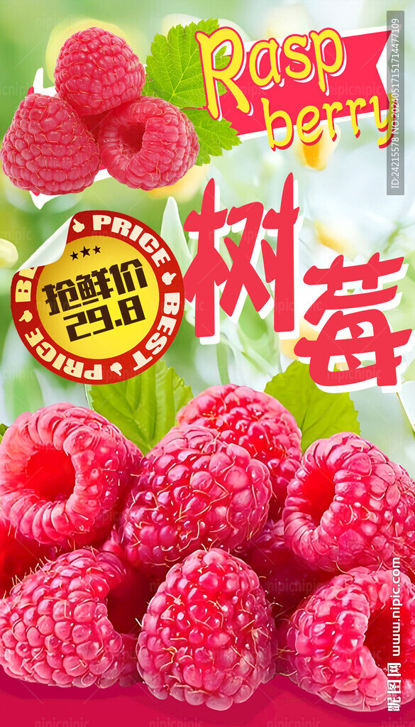 树莓海报
