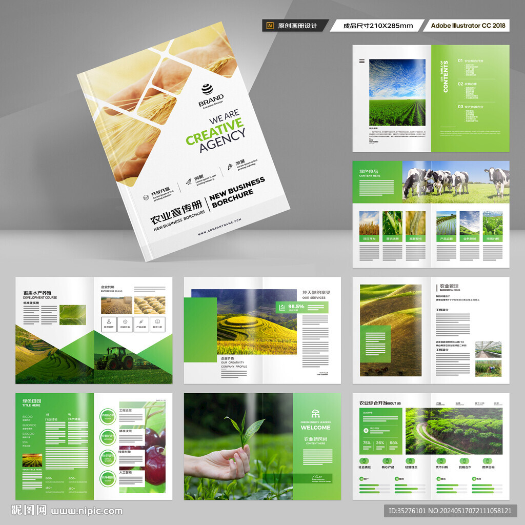 农产品宣传册