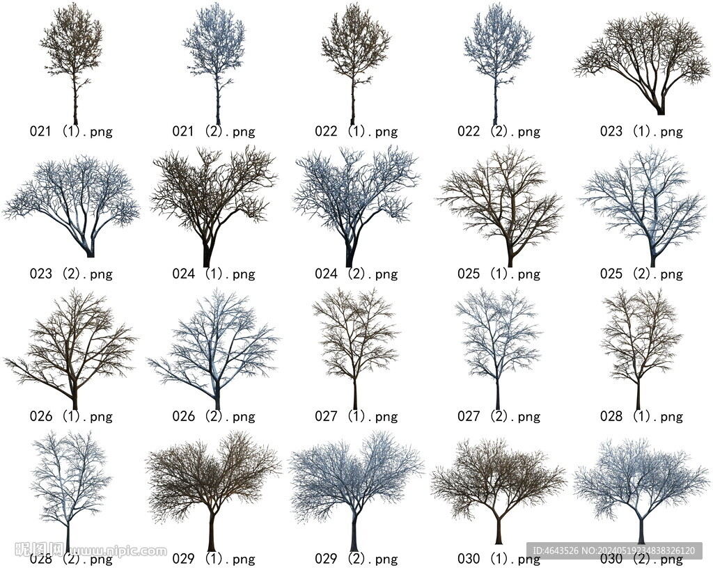 免扣高清景观树枯树雪松素材