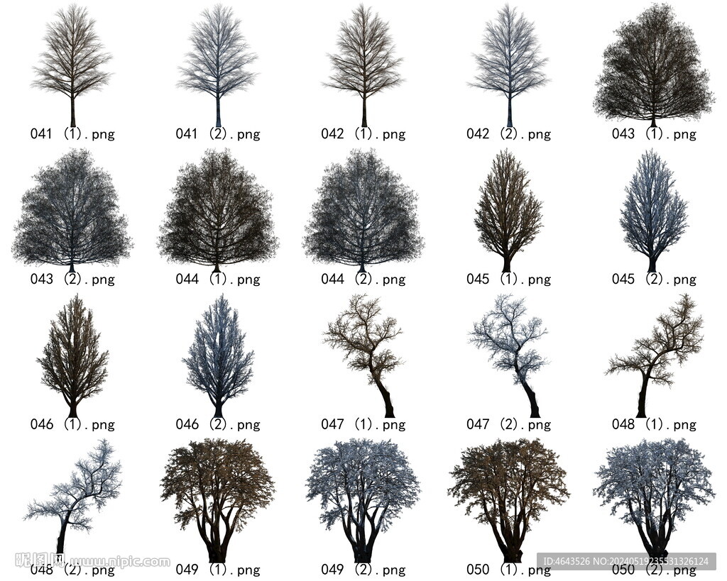 免扣高清景观树枯树雪松素材