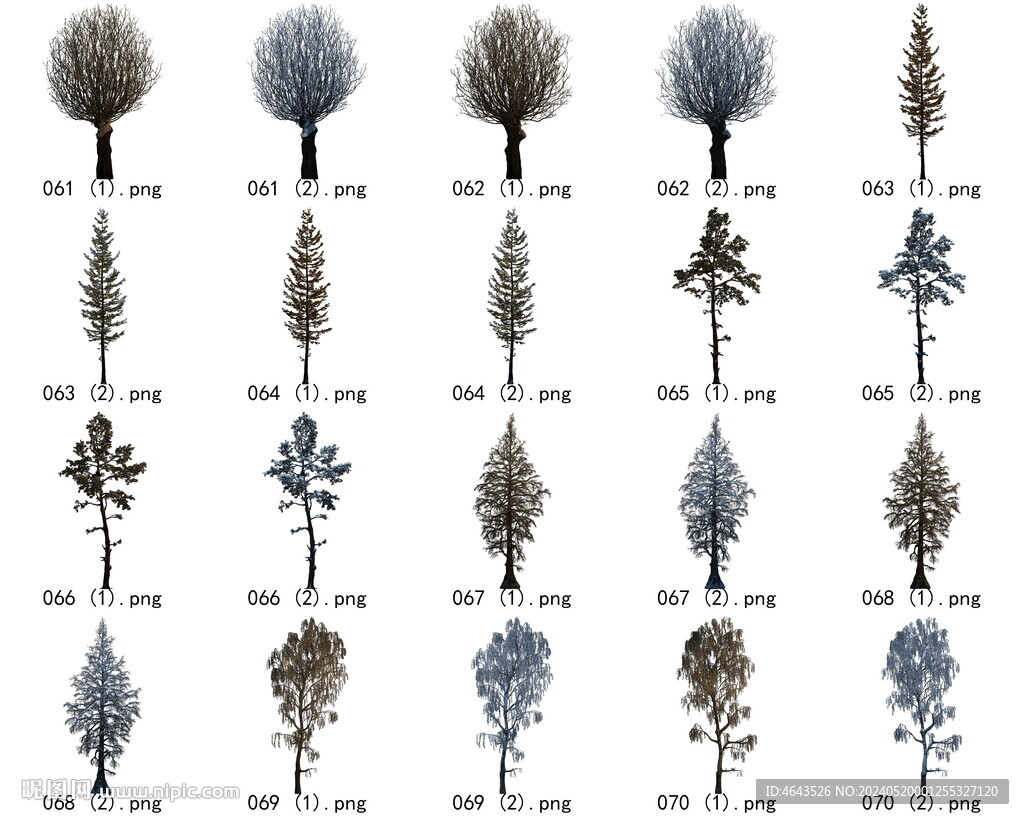 免扣高清景观树枯树雪松素材