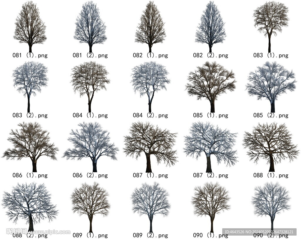 免扣高清景观树枯树雪松素材
