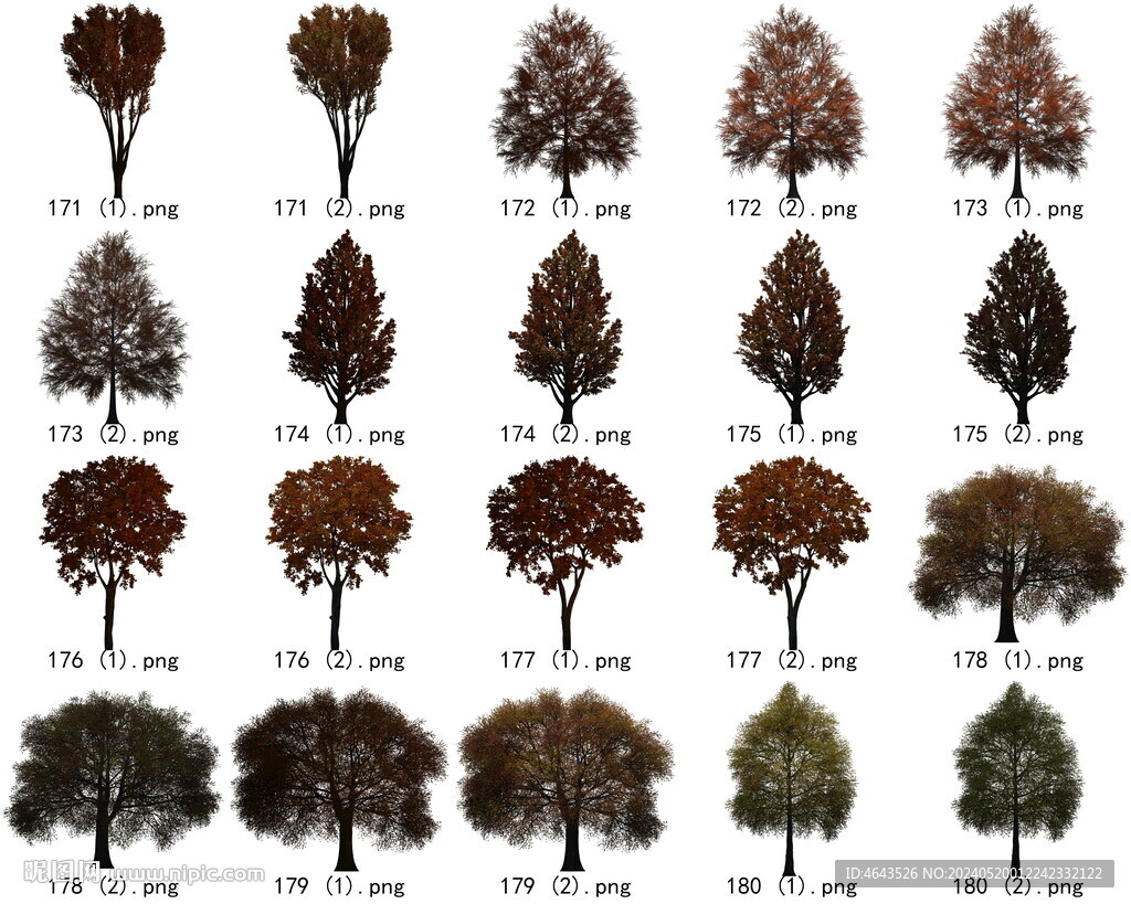 免扣高清景观树枯树雪松素材