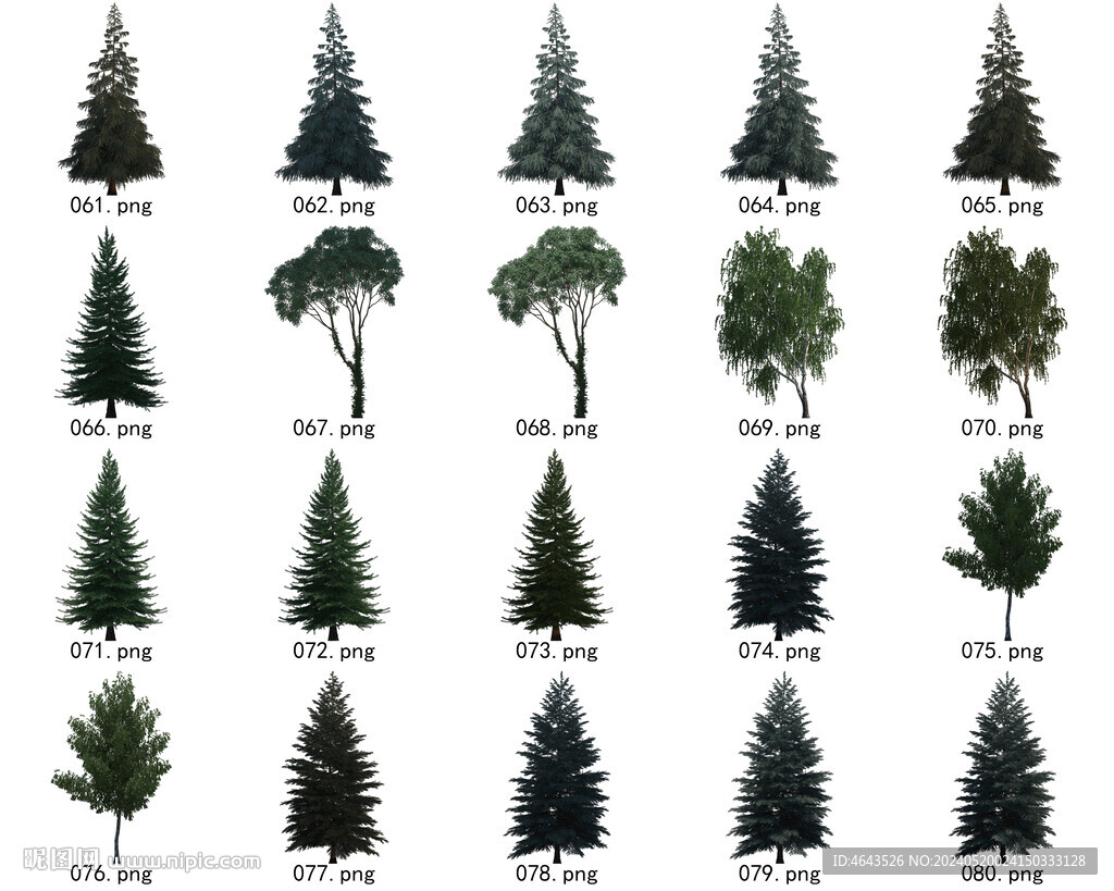 免扣高清景观树国外植物素材